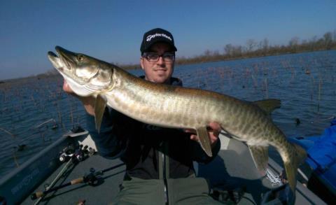 Fortunately the ice was gone by tournament time and 64 enthusiastic Muskie anglers set out in search of the prized Muskie.