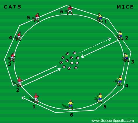 The coach calls out a number and the appropriate mouse runs to the centre and steals the cheese, one piece at a time, taking it back to their starting place on the circle.
