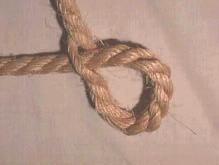 Rope Halter* 1 1. Use 2 hog rings to keep one end of the rope from fraying. Mark 14 from the hog rings. 2. Lay the rope with the short end to your right.