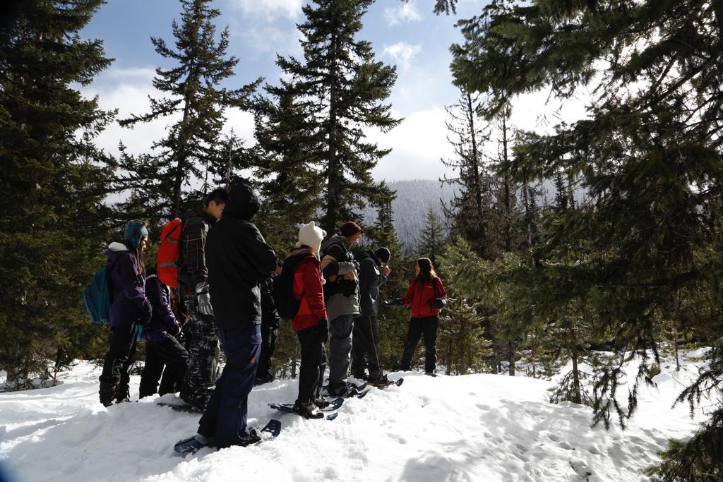 Group Winter Activity Package