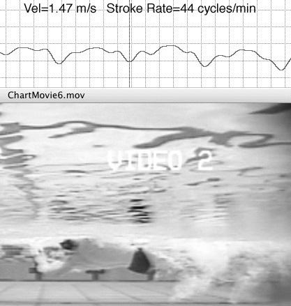 Backstroke at slow speed Figure 12. Backstroke at greater speed As shown in Figure 11 the velocity increases with each arm action and at this slow stroke rate there is a non-propulsive or glide phase.