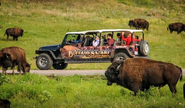 The park is full of diverse wildlife including bison, whitetail deer, prairie dogs, coyotes, eagles and turtles.