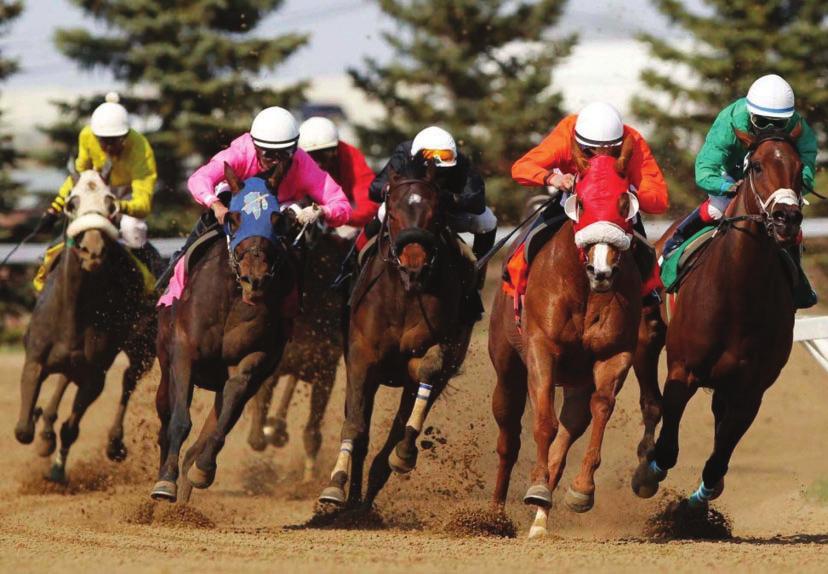 A NIGHT AT THE RACES Racers post your horse. Betters place your bets. Come join us for an evening you will not soon forget!