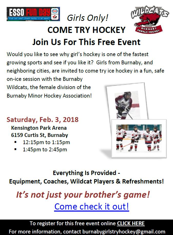 ESSO FUN DAY WILDCATS COME TRY HOCKEY Saturday, February 3 rd!