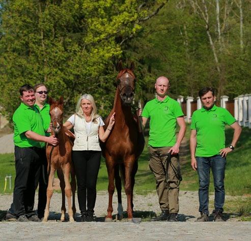 .. but we became enchanted with the atmosphere, the surroundings and the incredible emotions associated with the amazing place which is Janów Podlaski Stud, Piotr Parys recalls the
