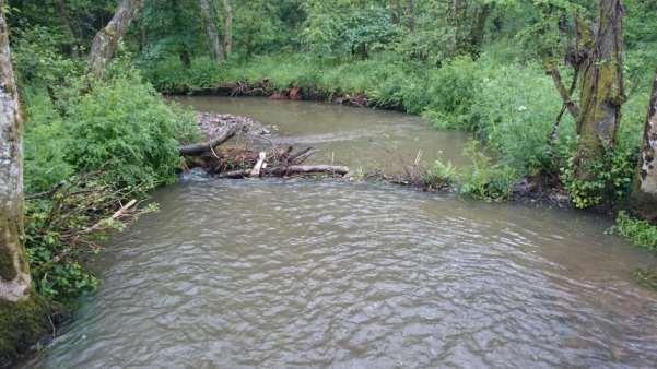 However, debris dams can sometimes impound flow and even become barriers to fish passage.