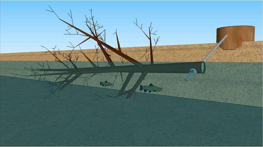 Figure 24: An illustration of a marginal kicker cabled to an existing tree stump The kicker will provide valuable cover for fish and food/habitat for freshwater