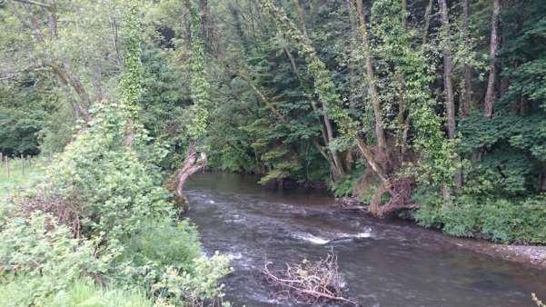 Continuing downstream, a number of bankside trees were observed leaning at precarious angles. In upland rivers, tall bankside trees often topple into the river.