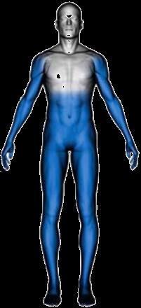 Preferred Target Zone Front (when possible) Lower torso (blue zone below