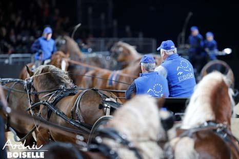 A quadrille of mounted and carriage tandems celebrated its premiere, demonstrating traditional horse training and the diversity of breeds maintained in the European state studs.