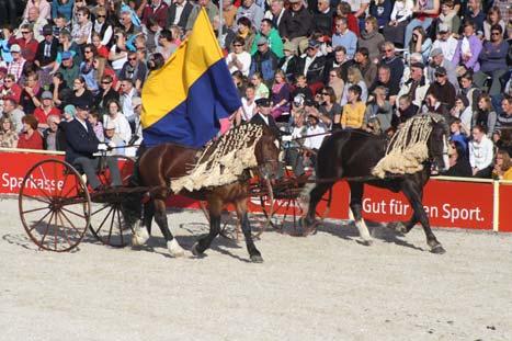 Good examples for this kind of cooperation are the MARBACH Stallion Parades, which take place with a guest country since some years.