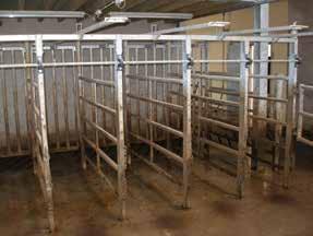 If there is likely to be any delay between separation and insemination, consideration should be given to provision of feed and water.