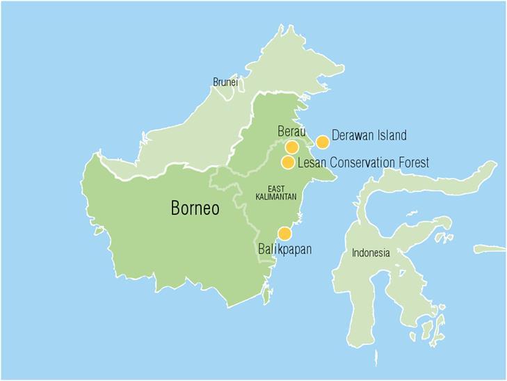 1. Study area and research objectives Students will spend 2 weeks in East Kalimantan, (Borneo) in Indonesia. Their first week will be spent in the Lesan Conservation Forest camp.