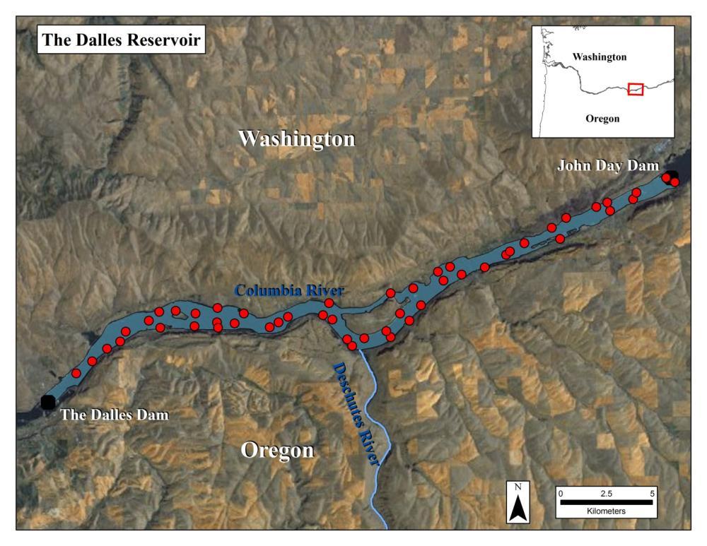 The Dalles Reservoir: Site Selection GRTS