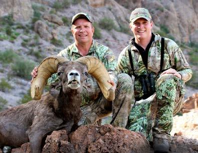 in the West has to be a Desert bighorn sheep tag.