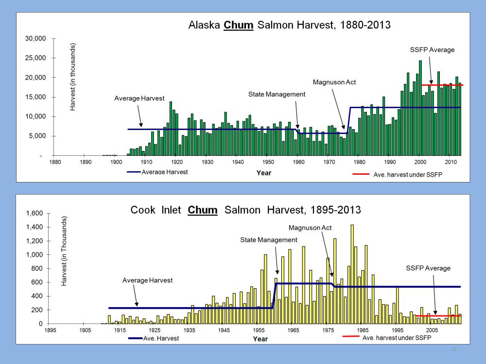 The commercial harvests of chum salmon in Cook inlet have also been tremendously reduced. Commercial fisheries harvest only 6% of available stocks, leaving an immense harvestable surplus.