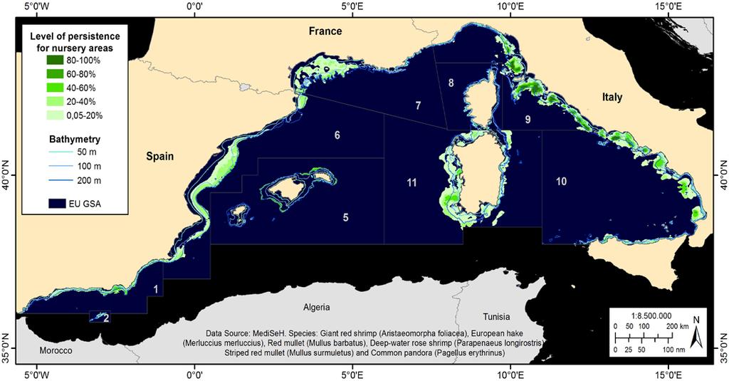 Oceana proposes to extend the trawl-free zone to at least 100 m deep all year round, rather than granting temporary bans since this would not preserve sensitive habitats.