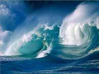 Ocean Noise and Effects on Animals Ocean noise sources Natural wind, vociferous animals