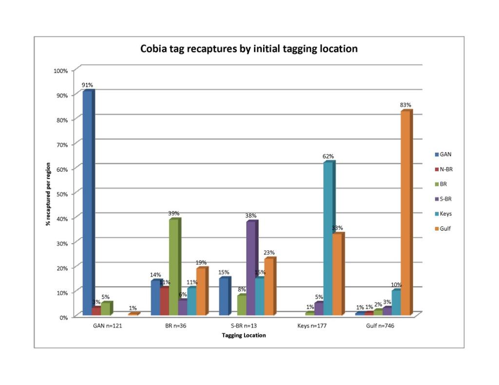 Figure 1. Combined table of SC, GCRL and Mote recaptured cobia. Percentages of cobia tagged in a region that are recaptured.