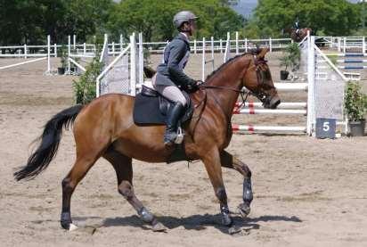 EQUITATION SHOW SECRETARY Royn Harrison e-mail: shows1@kyalamiparkclu.co.za ENTRY FEES: R295.00 per class. Which includes a R50,00 vest deposit per rider.