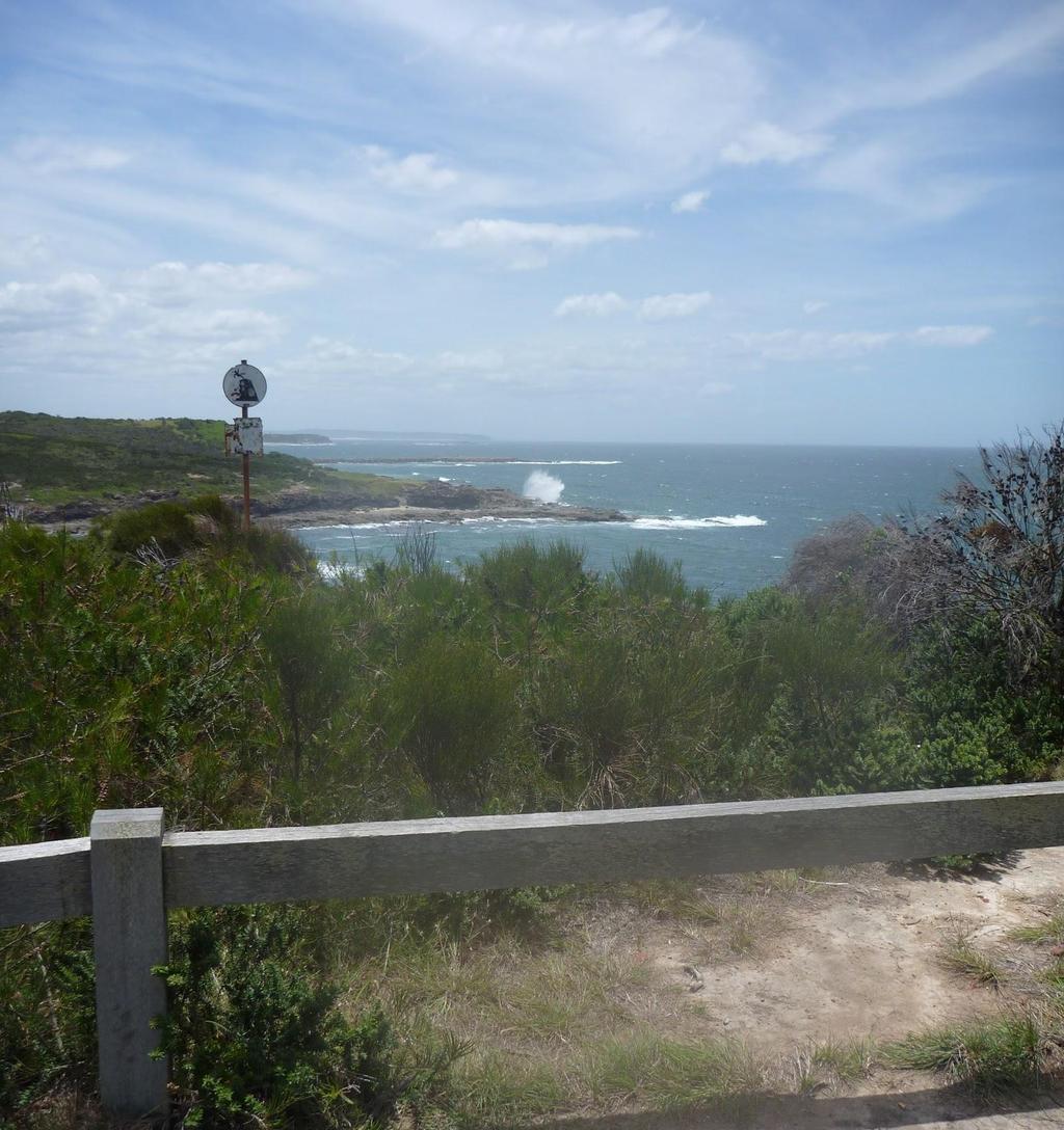 3.82 Int of Coastal Walk & Shark Bay Track (12 m 2 mins) Continue straight: From the intersection, this walk follows the trail gently downhill to the left, while keeping the gently downhill Sharks
