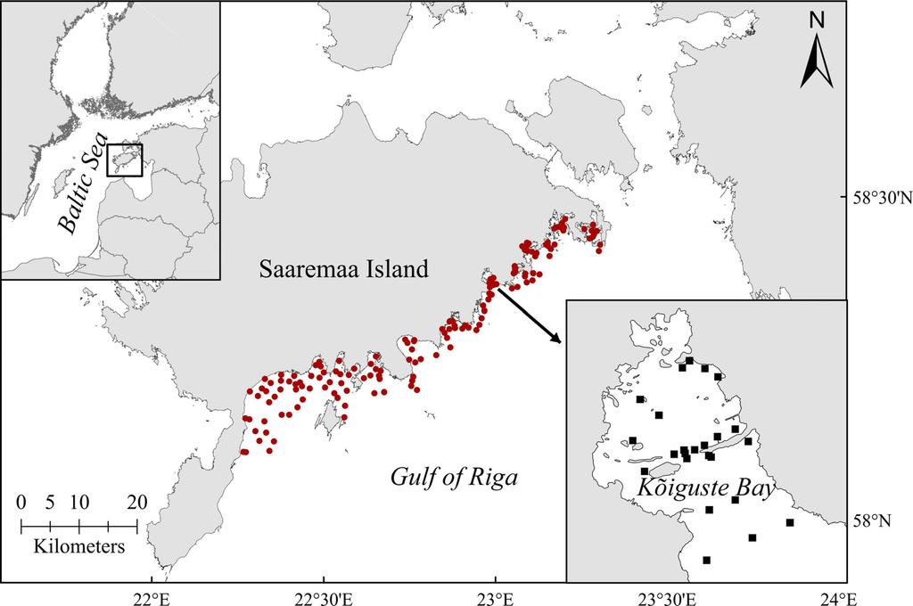 Invasive Gammarus tigrinus in coastal areas of northern Baltic Sea Figure 1. Map of the study area.