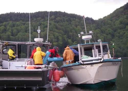 commercial fishermen, tagged by NOAA