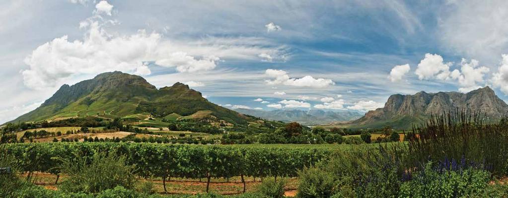 DAY 4 Enjoy the Winelands Experience STELLENBOSCH After a satisfying breakfast and simple checkout, the famous Stellenbosch Winelands await.