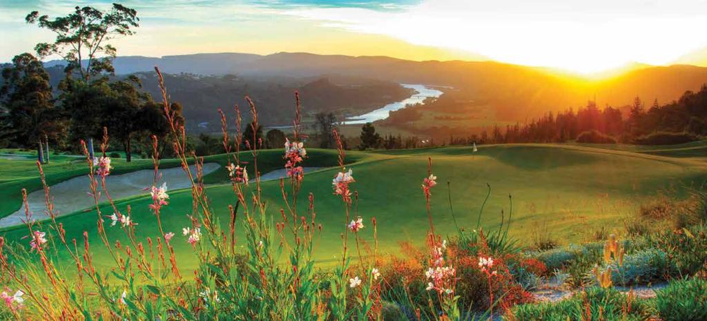 DAY 8 Simola Golf Course KNYSNA Take advantage of a final, early morning game drive, before breakfast and checkout.