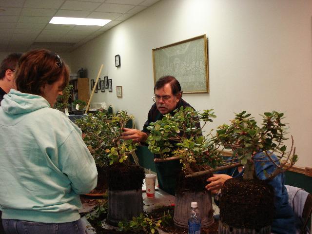 What a great way to pass along the enjoyment of this art of bonsai as living sculptures. Investigating their trees at the Public workshop Begin planning for winter storage of trees.