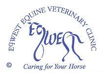 The Clothes Horse Equine Rug Wash Reproof Repairs www.eqwest.co.