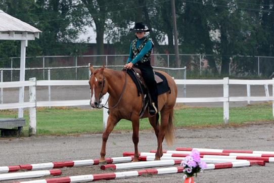 Orton, 2006 High Point Novice Rider for