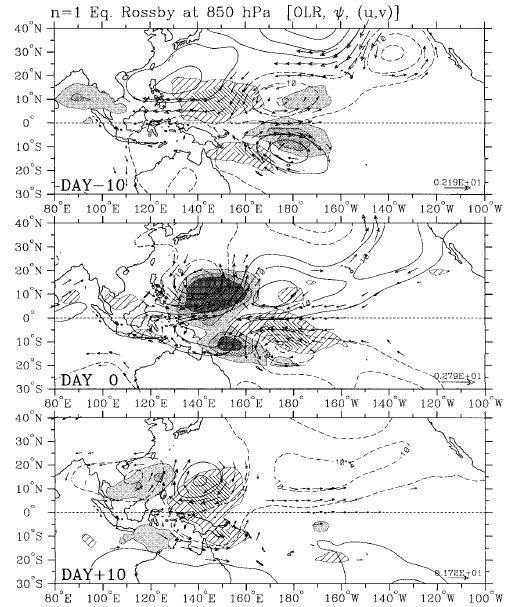 Positive vorticity advection Equatorial Rossby waves Negative vorticity advection EQ H H H H EQ