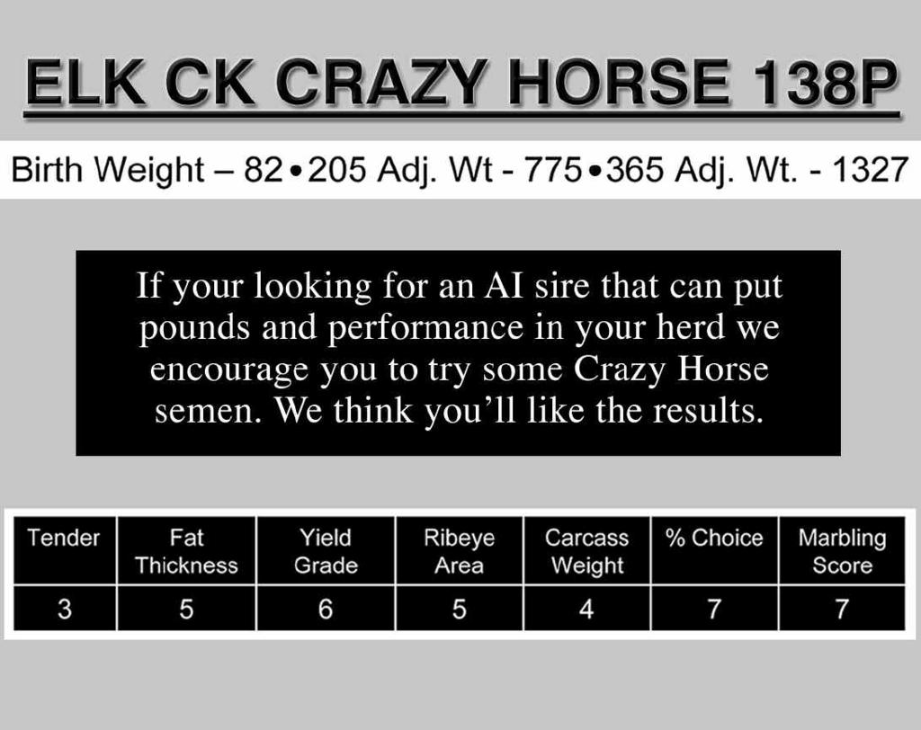 2 47 86 21 45 BW: 85 WW: 585 Adj. WW: 613 Adj. YW: Another fall Crazy Horse son out of one of our donors. A big footed rugged constructed bull that is soggy made.