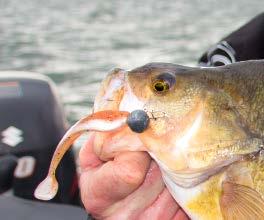 improvement on standard weight heads with a 90-degree attachment eye for vertical fishing!