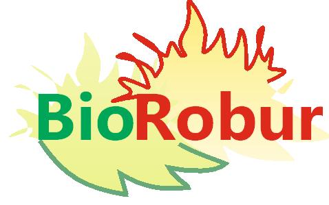 Proposal title: Biogas robust processing with combined catalytic reformer and trap Acronym: BioRobur Initiative: Fuel Cells and Hydrogen Joint Undertaking (FCH-JU) Funding scheme: Collaborative