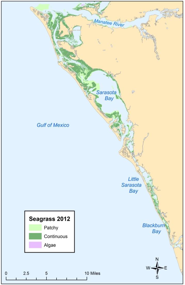 Mapping and Monitoring Recommendations Continue to acquire aerial photography and map seagrass cover every two years to evaluate trends in seagrass acreage.