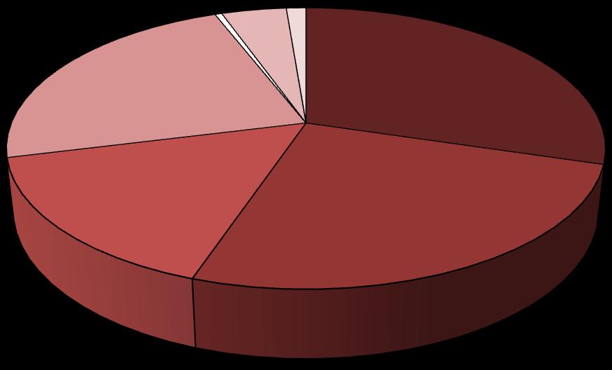 Interdisciplinary Programs 0.44% Majors/Concentrations by School Undergraduate and Graduate Fall Term 2013 Undeclared 4.