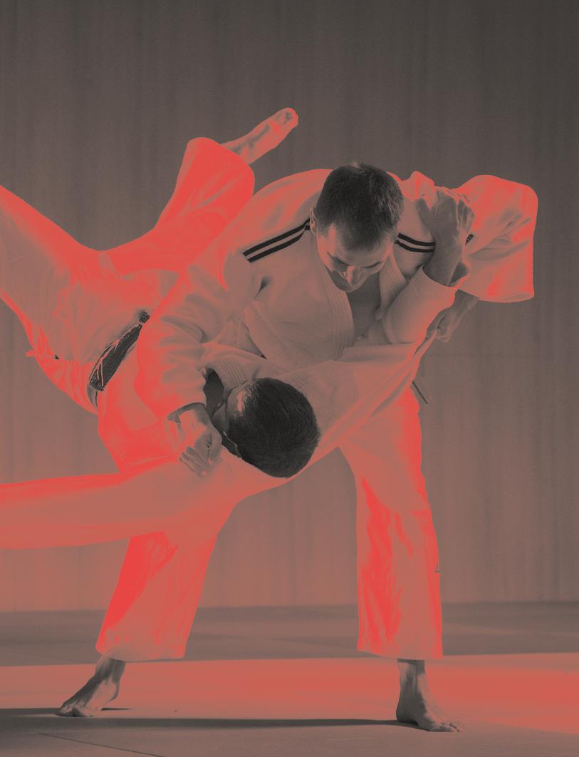 The Black Belt Program By Ippon. For consultants.