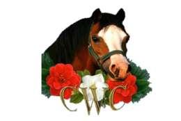 Carolina Welsh Club Spring March 31, 2018 SHOW STARTS PROMPTLY AT 9:00 AM WPCSA Bronze Sanctioning Applied For Show Information Location: Odyssey Farm 780 N.