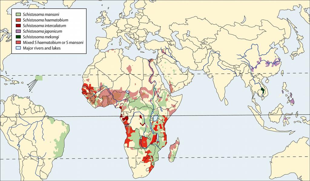 Spatial distribution of schistosomiasis - 700+ M people in 70+ countries live in endemic areas - 200+ M