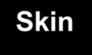 Skin-to-Skin Program Day 1 (Friday) Case