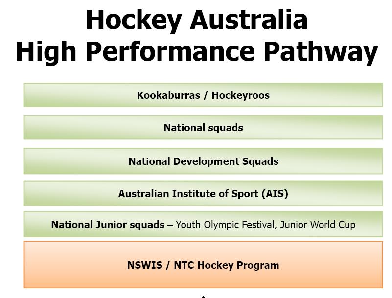 3 shows the first stage of the high performance pathway, which is the Junior High Performance pathway. 16 Players will attend Regional academies and NSW events, like Country v City challenge.