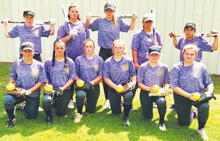 If they want to make it back to the Class 2A State Fast-Pitch Softball Tournament for the first time since 2016, the Lady Cats will be relying on youth to do so.