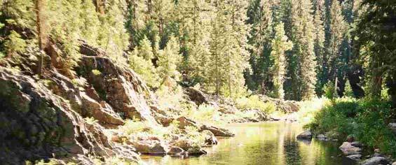 Upper Yuba River Water Temperature Criteria for Chinook Salmon and