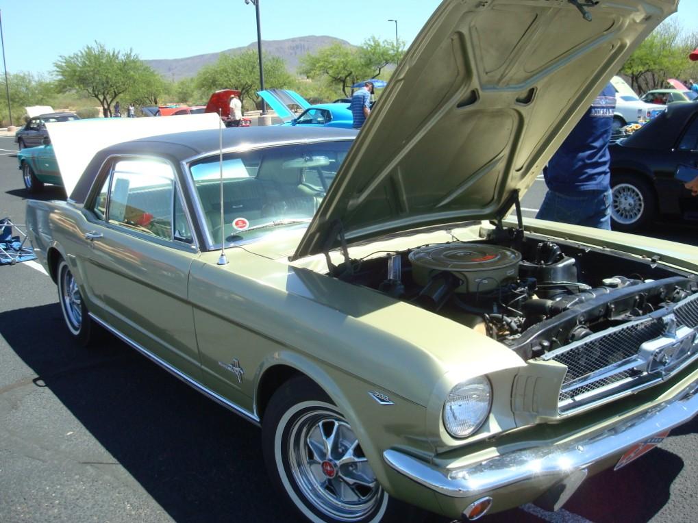 MCA Show - Hoof Beats in the Desert Last month the Old Pueblo Mustang club hosted their second MCA show in two years,
