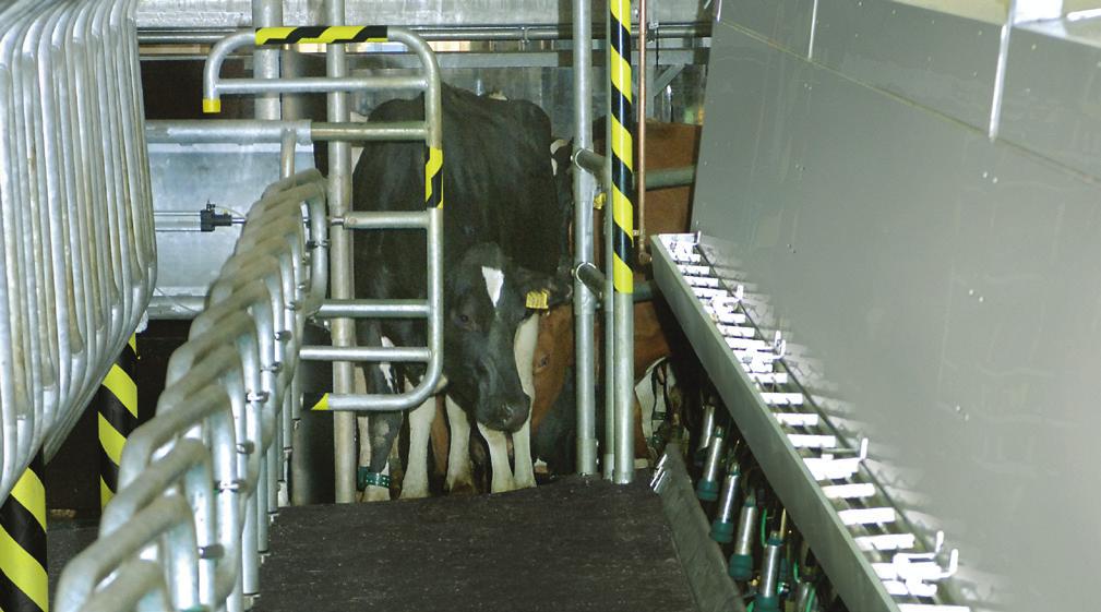 Comfortable milking for cows and people with the Global 90i... first class milking Global 90i means: A comfortable, smooth milking experience for the cows and operators.