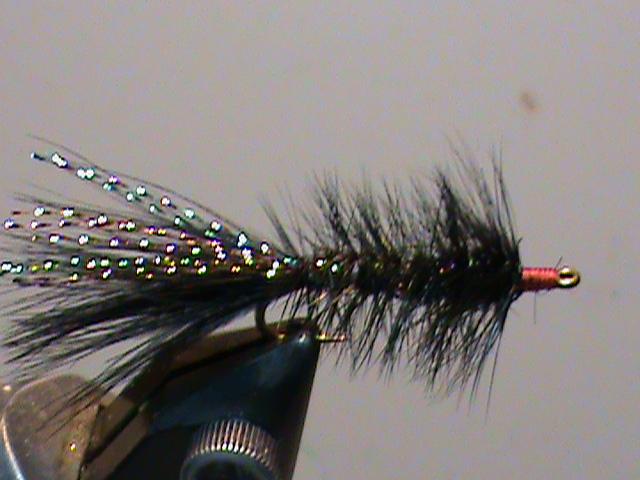 Basic Fly Tying Course The Woolley Bugger Hook Nymph or Streamer Hook Size 6-14 Thread Black 6/0 or 3/0 Tail Black Strung Marabou