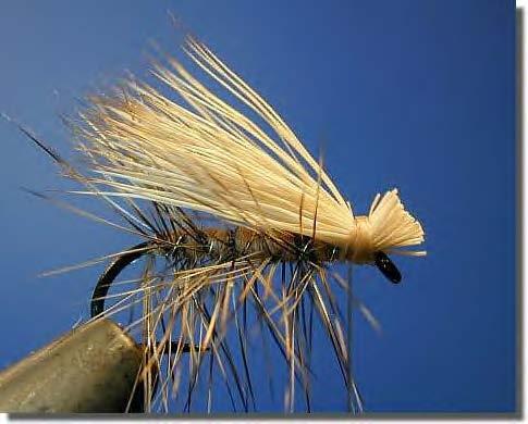 Basic Fly Tying Course Elk Hair Caddis Hook Standard Dry Fly Hook 8-20 Thread Brown 6/0 Tail Rib Copper Wire Body