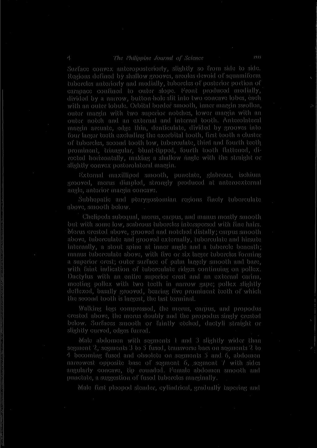 4 The Philippine Journal of Science 1975 Surface convex anteroposterior^, slightly so from side to side.